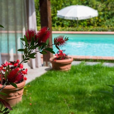 Villa Con Piscina Esclusiva Nel Verde Lucca Ngoại thất bức ảnh