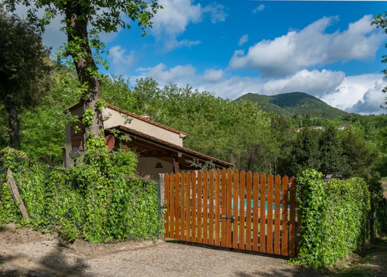 Villa Con Piscina Esclusiva Nel Verde Lucca Ngoại thất bức ảnh