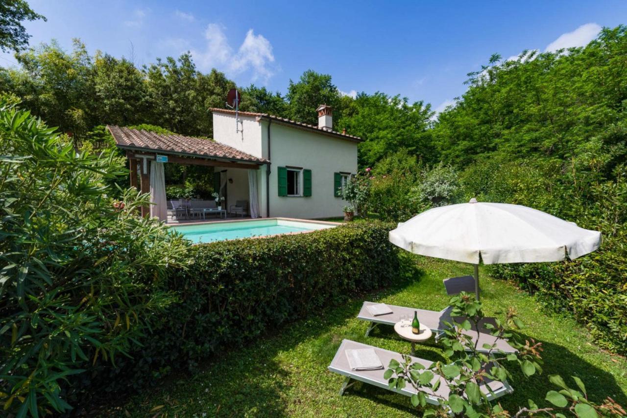 Villa Con Piscina Esclusiva Nel Verde Lucca Ngoại thất bức ảnh